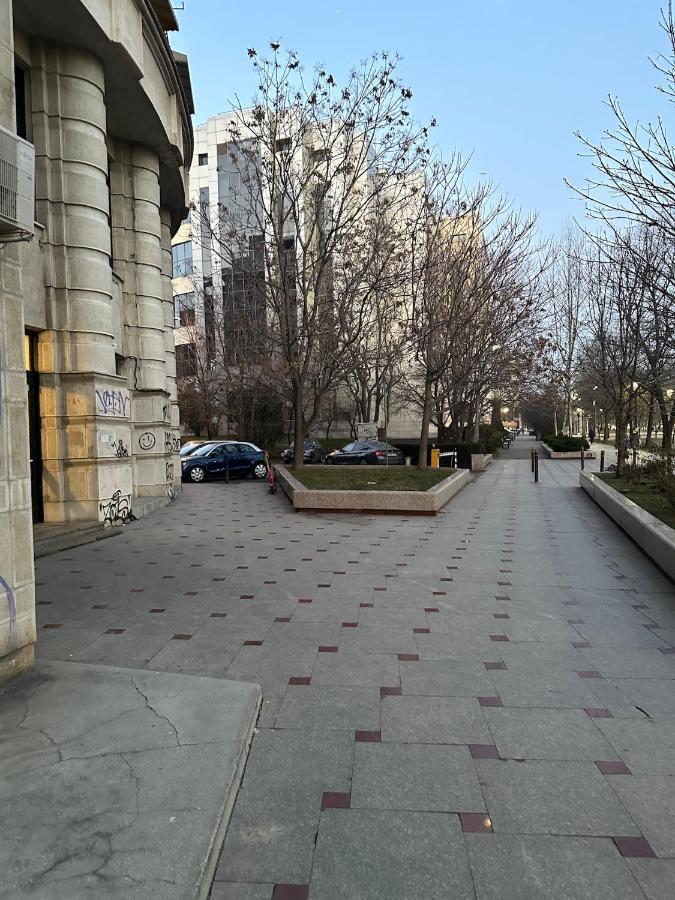 Unirii Lake Tribunal Bukurešť Exteriér fotografie